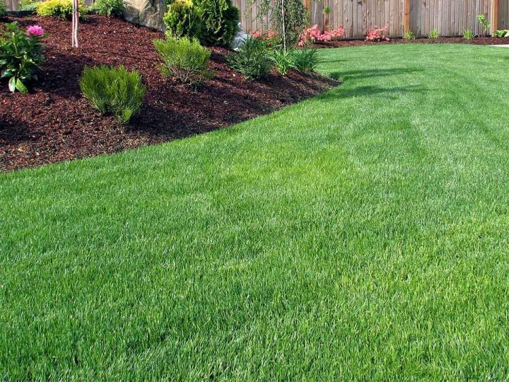 Lawn laying service Sherbrooke